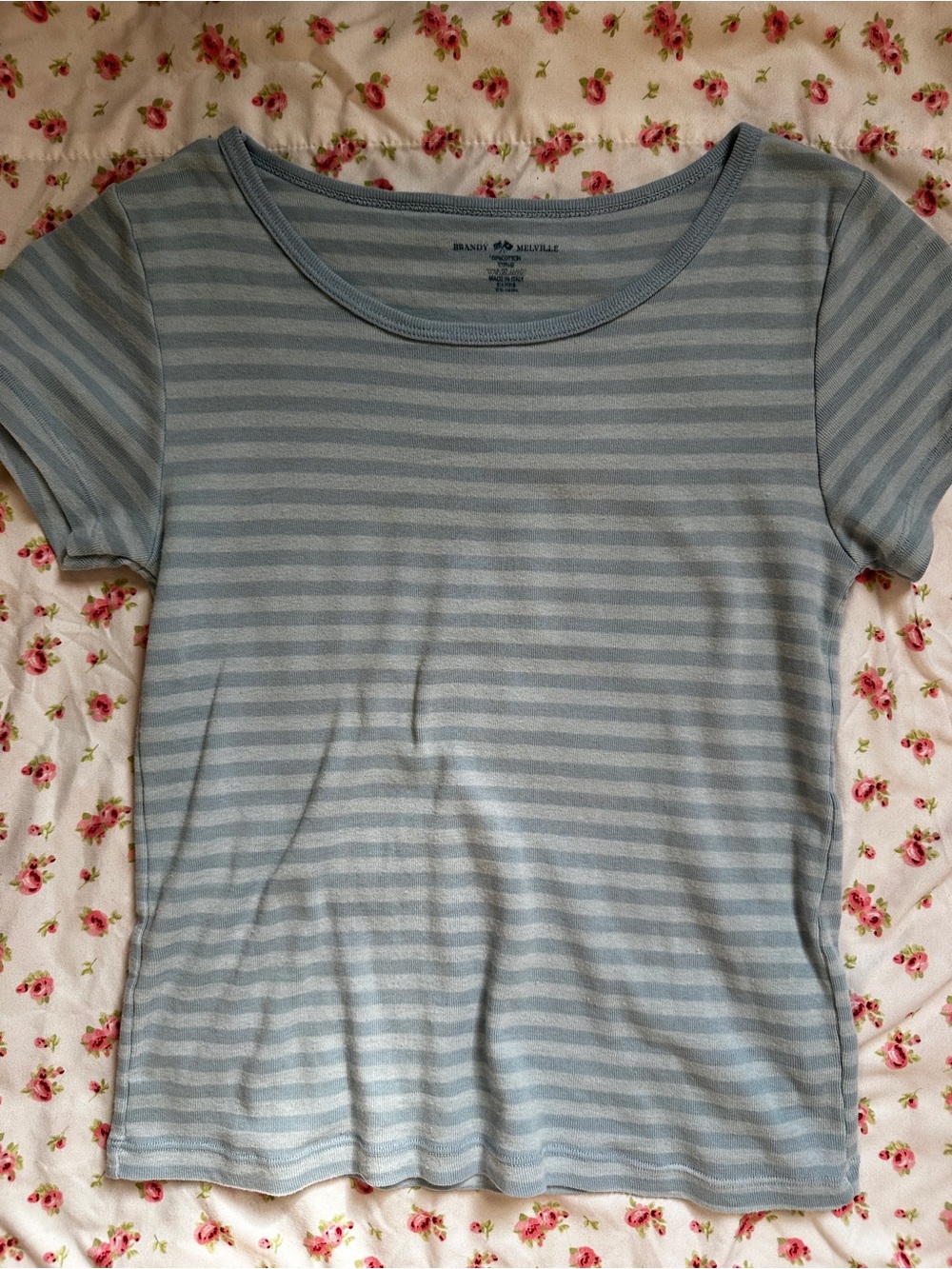 Brandy Melville Blue and White Striped Short Sleeve Tee